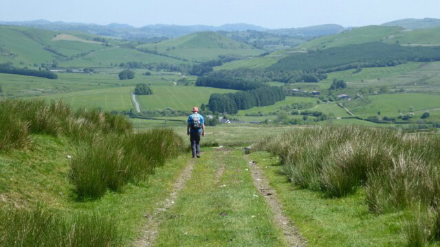 Celtic Trails Walker on Glyndwr's Way Trail