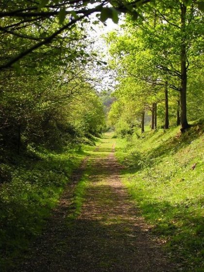 Wye Valley Walk | Celtic Trails Self-Guided Walking Holidays