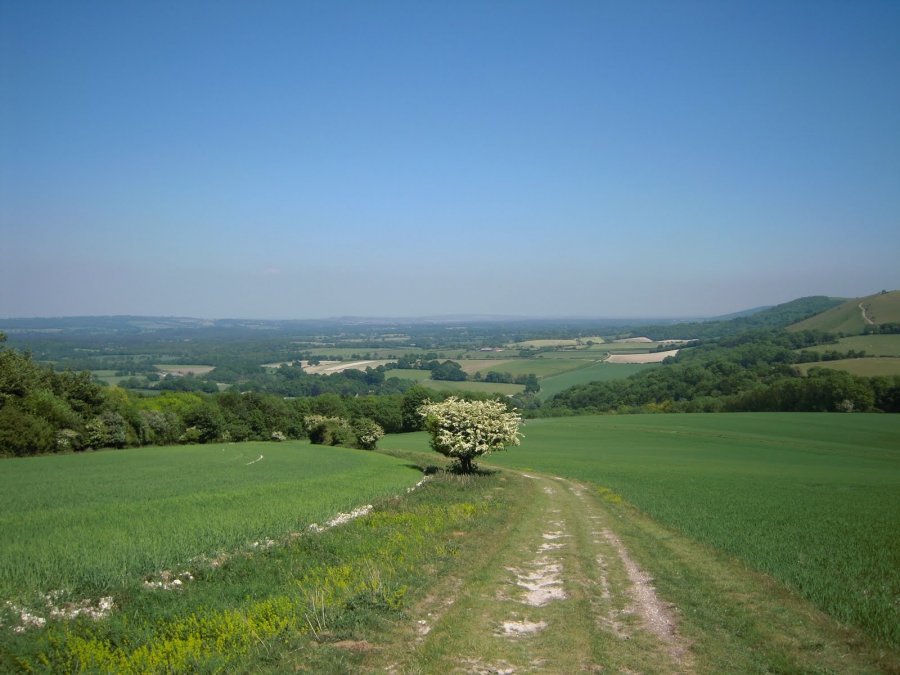 South Downs Way Walking Holiday Gallery