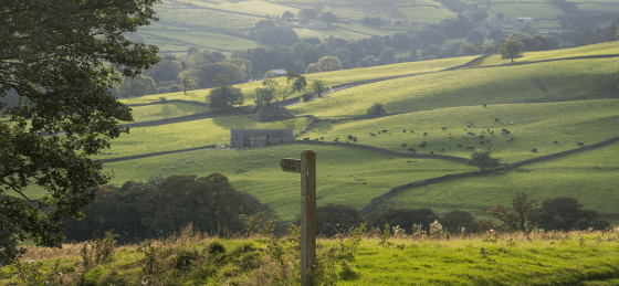 Walking Holidays in England | Self-Guided Walking Escapes | Celtic Trails