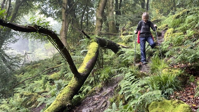 Offa's Dyke Path - Clarke