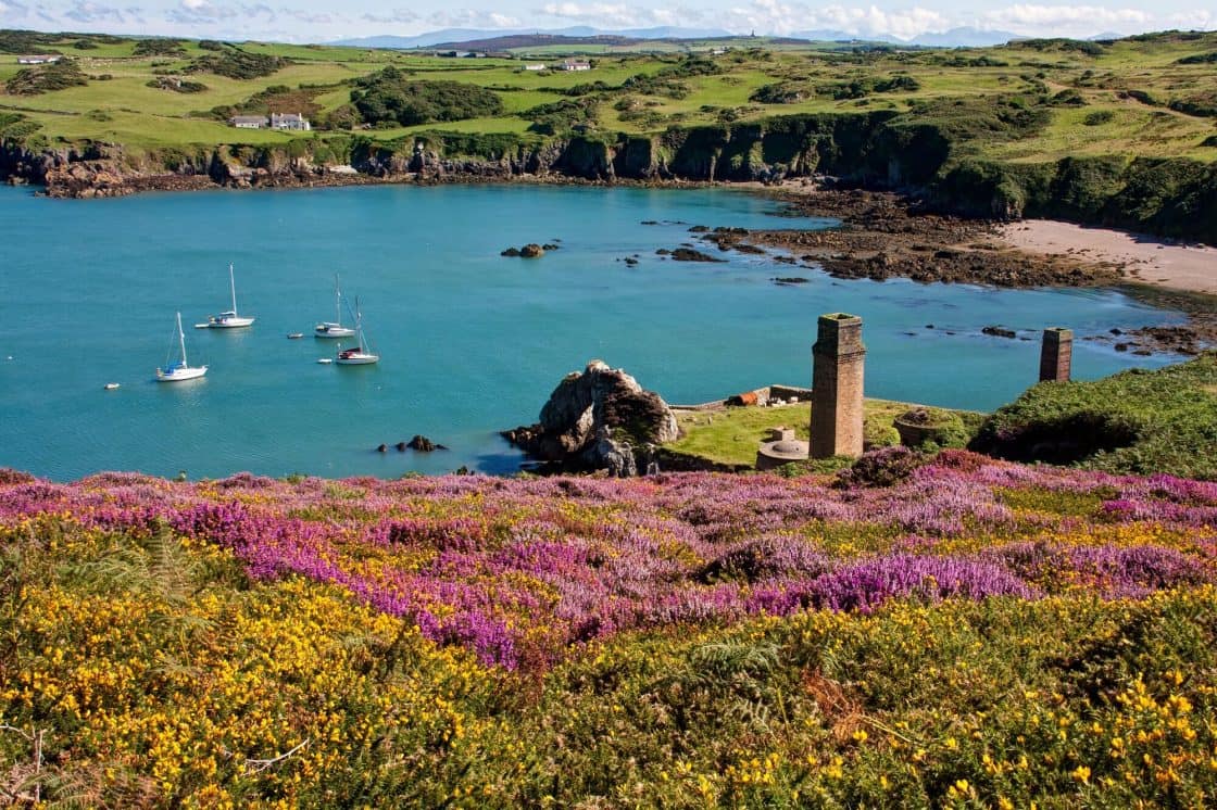 Anglesey Coastal Path Walking Holidays | Celtic Trails Holidays