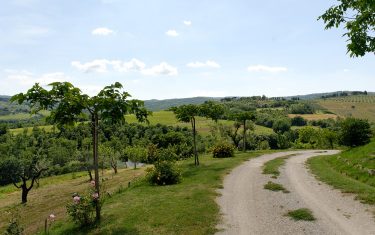 Tuscan Via Francigena Walking Holidays | Hiking Breaks Italy | Celtic ...