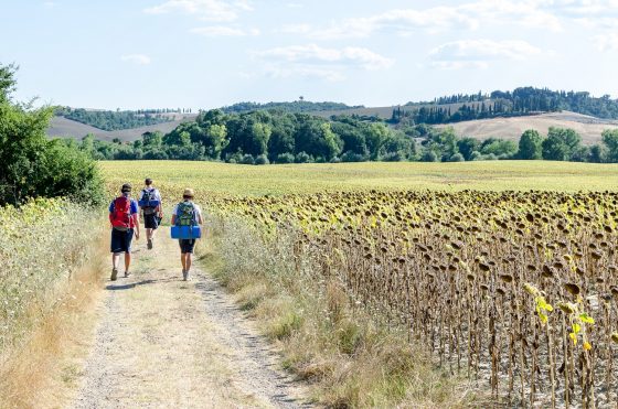 Tuscan Via Francigena Walking Holidays | Hiking Breaks Italy | Celtic ...